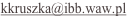 shapeimage_8_link_0